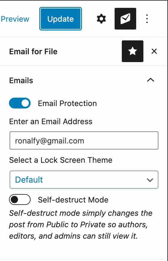 Email for File Options Screen in Gutenberg Sidebar