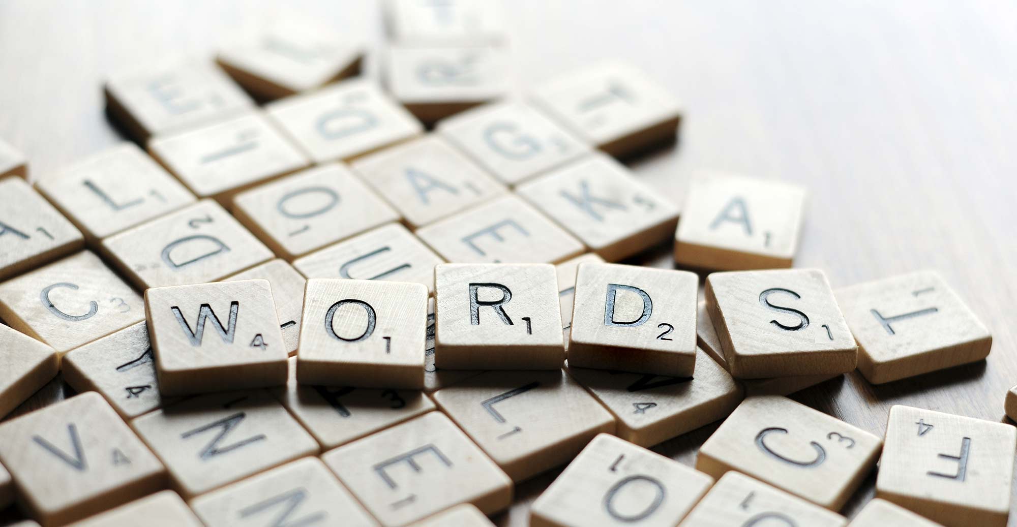 Developer Diaries – Launch With Words and Other Projects