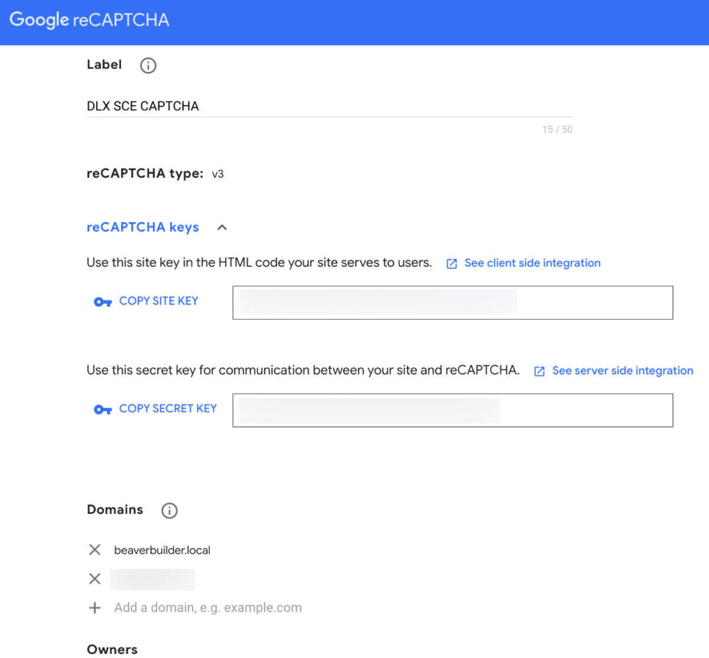 reCAPTCHA Site and Secret Key